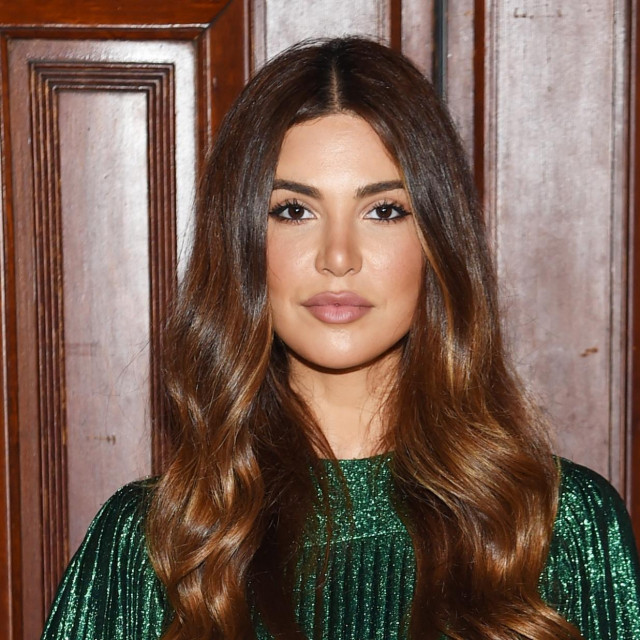 Negin Mirsalehi