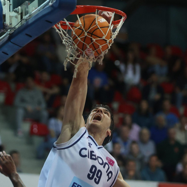 Toni Nakić je lani igrao u dresu Cibone