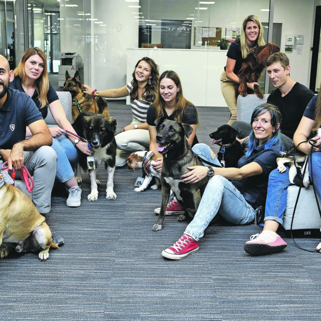 Zaposlenici tvrtke Rimac i psi