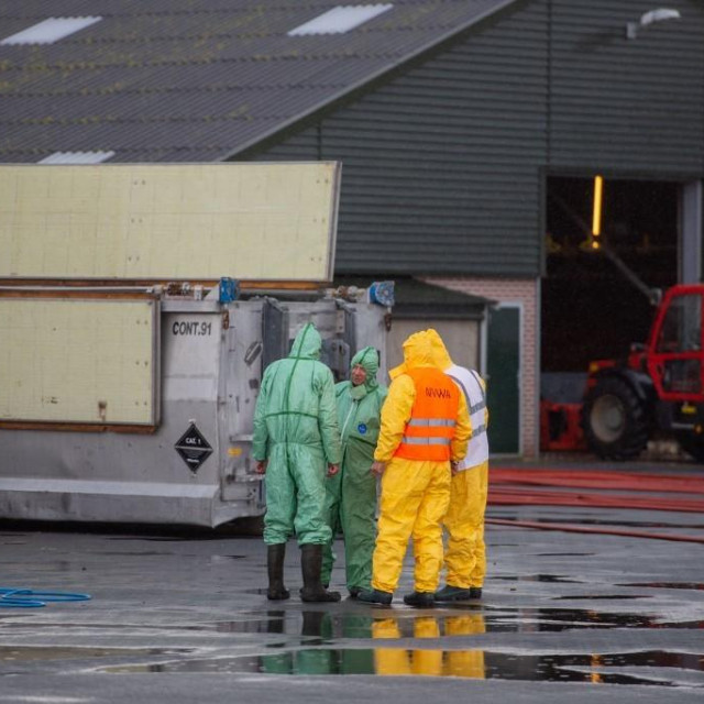 Farma kokoši u Nizozemskoj