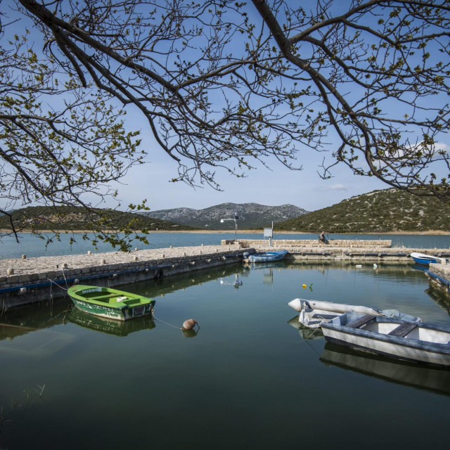 Detalji Vranskog jezera