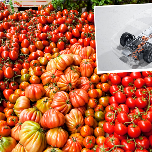 Rajčice/EV baterije, ilustracija