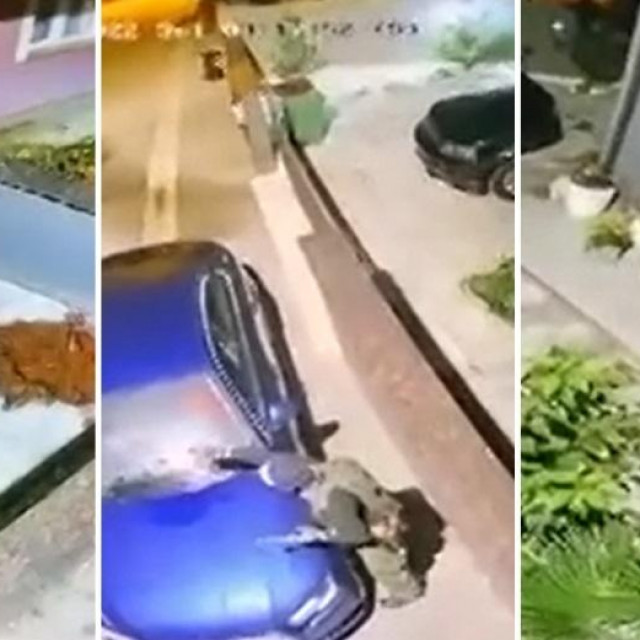 Pucnjava u Sesvetama