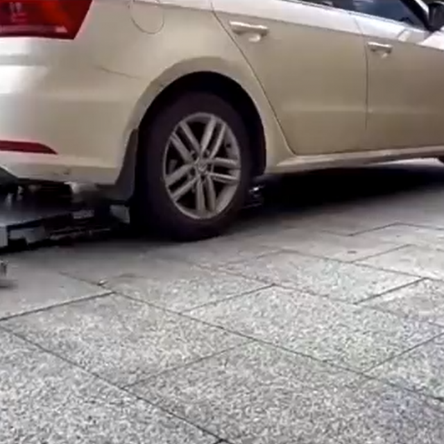 Kineska verzija pauka