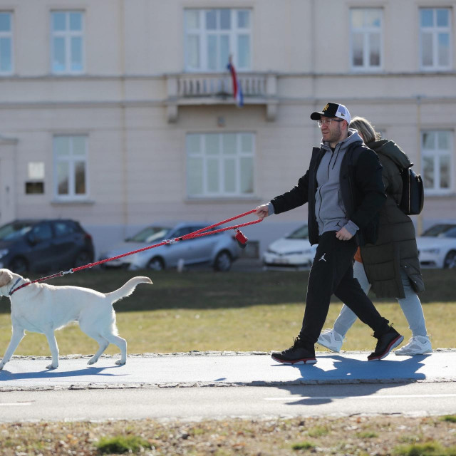 Šetnja s psima na Promenadi












 