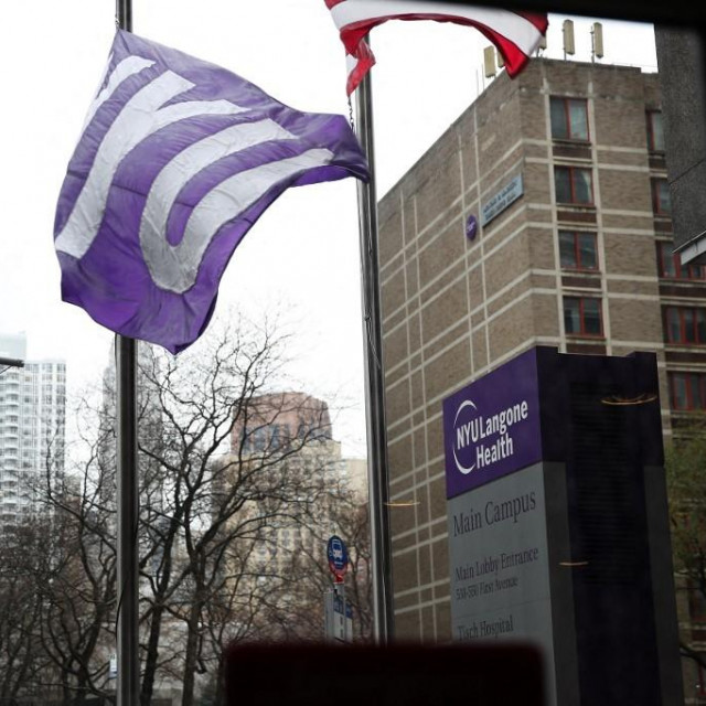 Sveučilište New York