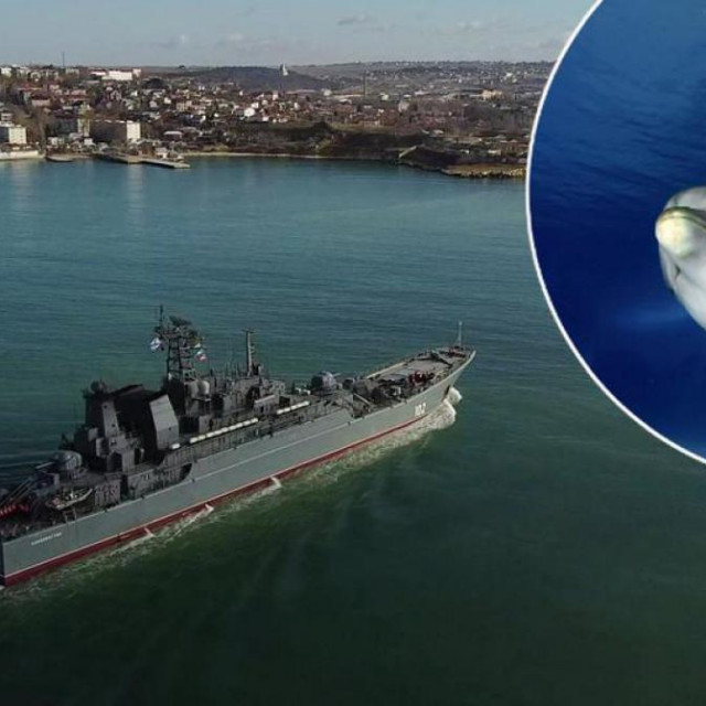 Pomorska baza u Sevastopolju