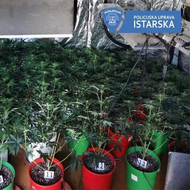 Pronađena droga u Puli