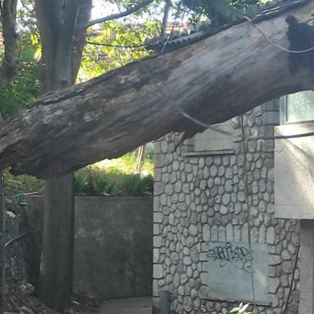 Pad bora na staru mrtvačnicu u Dubrovniku