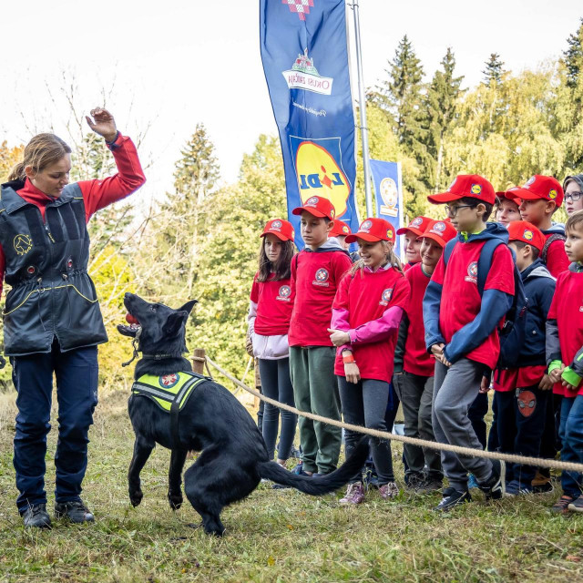 HGSS-ov potraži pas