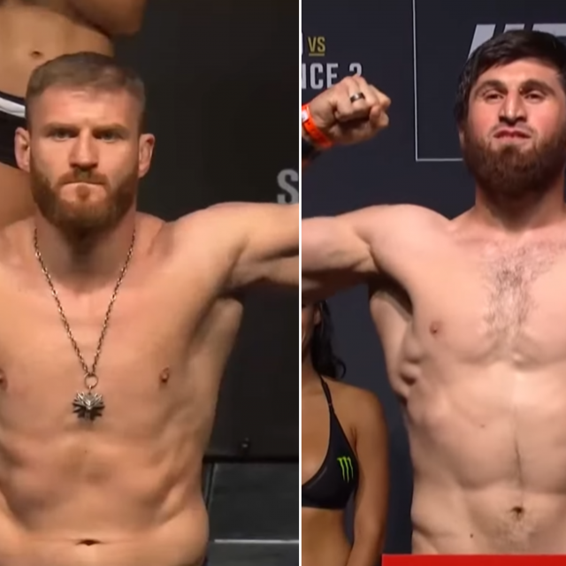 Blachowicz i Ankalaev