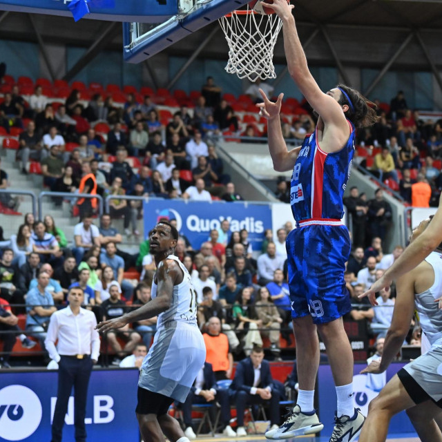 Okršaj Cibone i Partizana u Draženovu domu