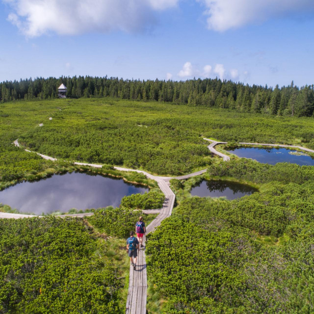 Lovrenška jezera, Rogla