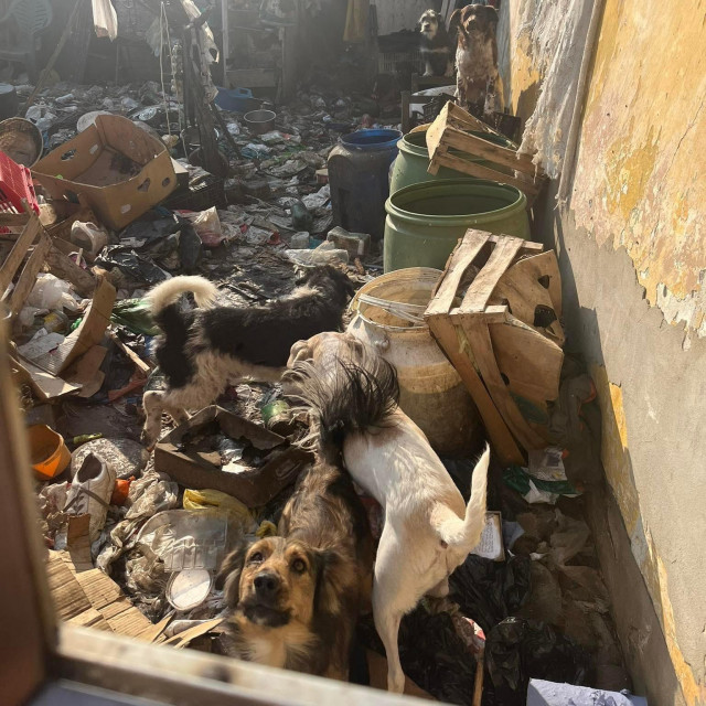 Kuća u kojoj su psi živjeli sa svojim vlasnikom