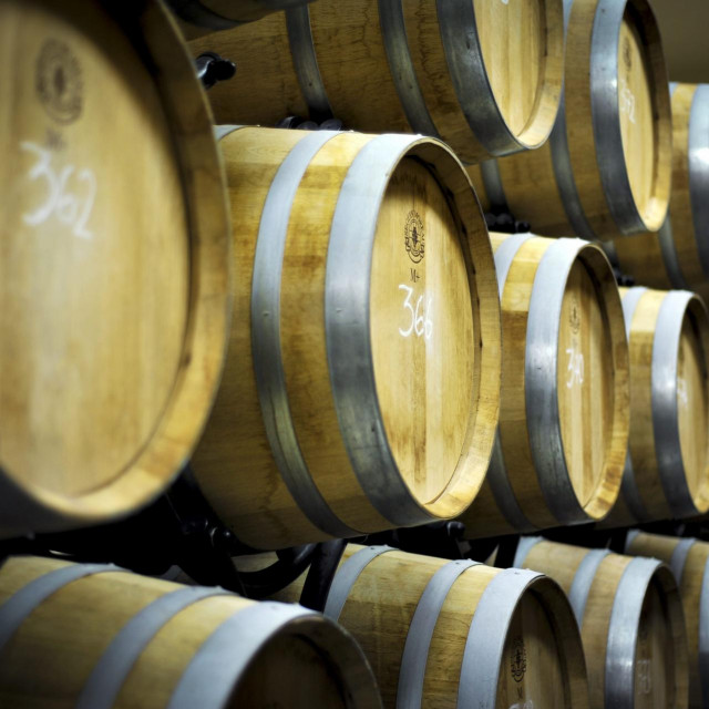 Vinski podrum (ilustracija)