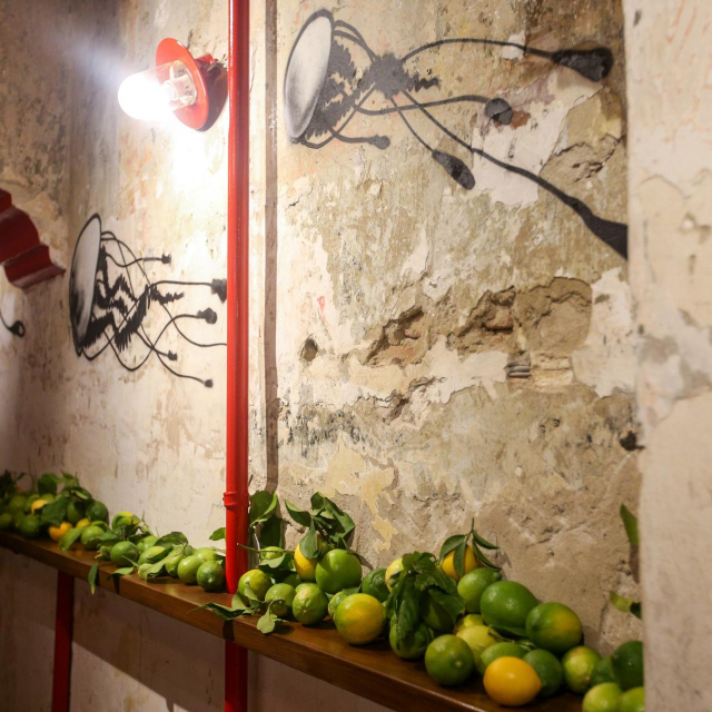 Fotografija: Nera Šimić/CROPIX