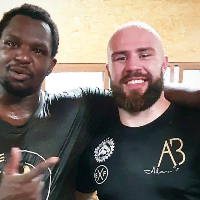 Dillian Whyte i Alen Babić