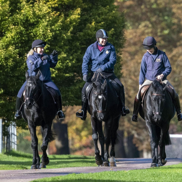 Princ izlazi samo radi jahanja i šetnje sa psima po parku Windsor