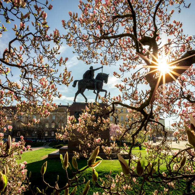 Trg kralja Tomislava