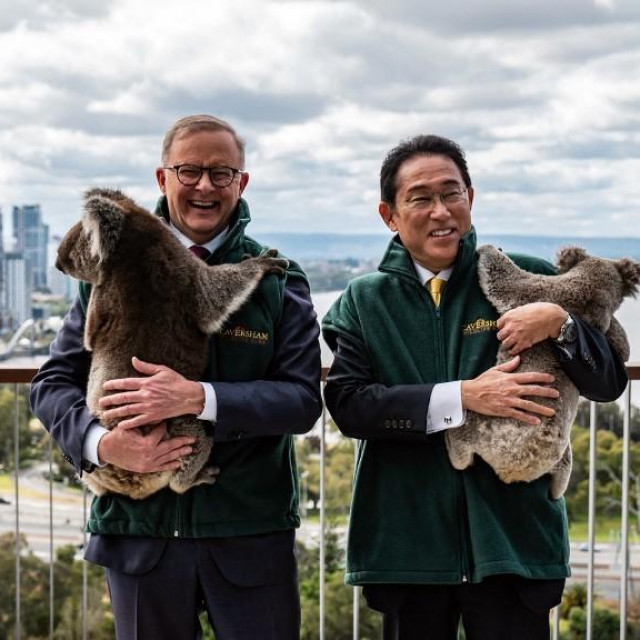 Anthony Albanese i Kishida Fumio pozirali s koalama