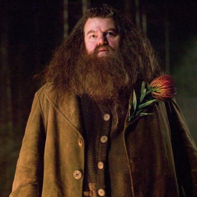 Robbie Coltrane kao Hagrid u filmovima o Harryju Potteru