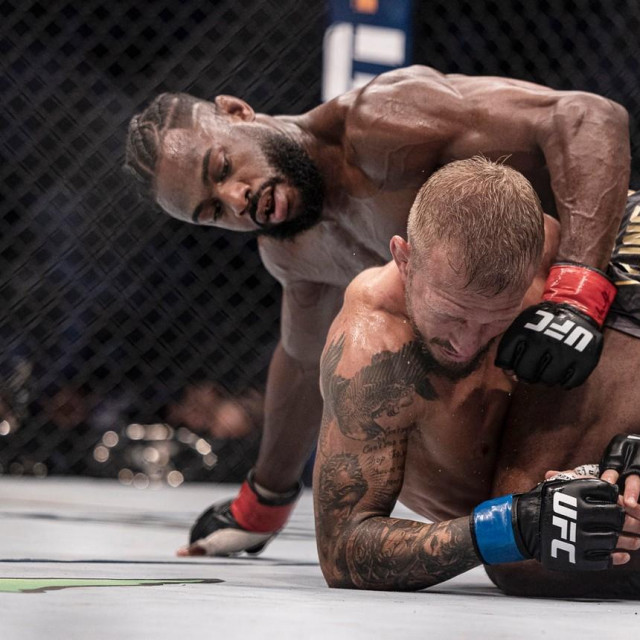 Aljamain Sterling