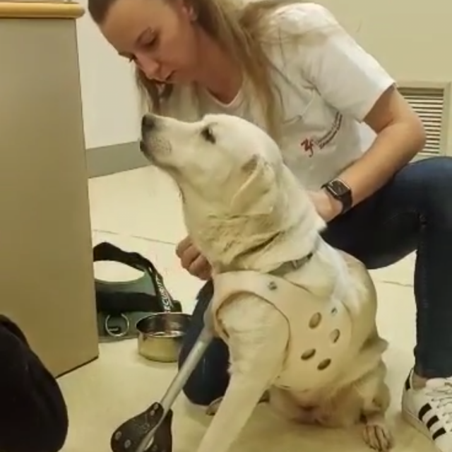 Isprobavanje proteze