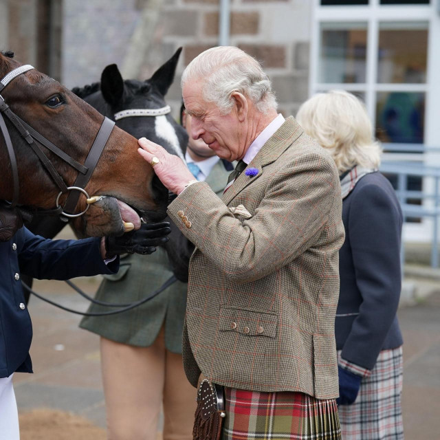 Ceh smanjenja troškova monarhije plaćaju konji.