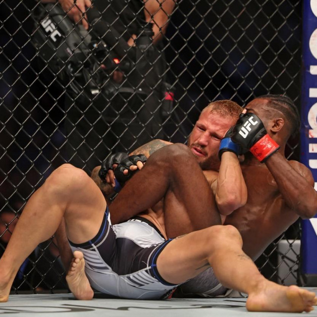 Aljamain Sterling i T.J Dillashaw
