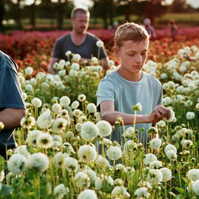 Film Blizu režiser Lukas Dhont