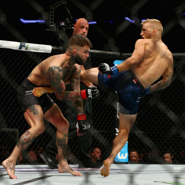 TJ Dillashaw vs. Cody Garbrandt