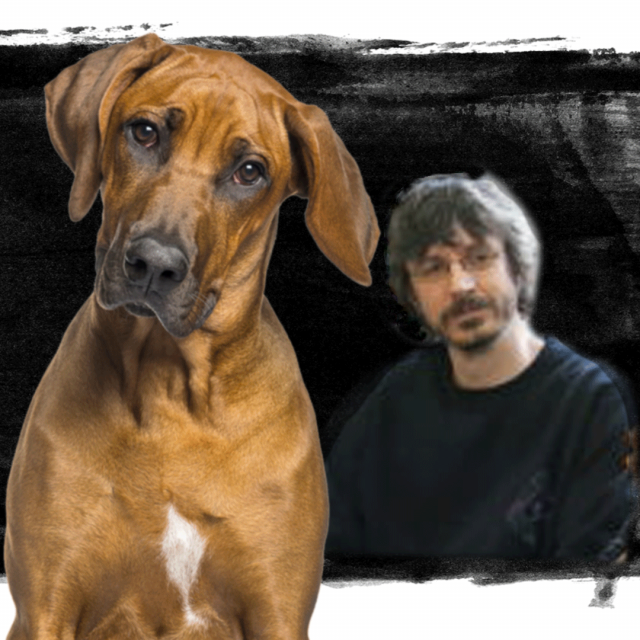 Ivor Ivanišević, optužen za silovanje pasa