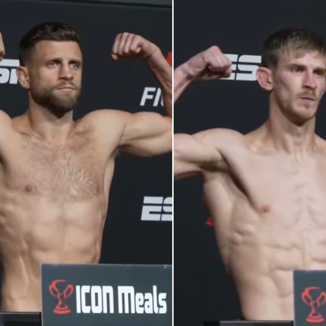 Kattar i Allen