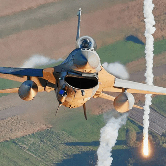 Borbeni avion F-16 u letu iznad Poljske; poljski vojnici u tenku Leopard 2; borbena vozila M2 Bradley i tenkovi M1A1 Abrams; borbeni avion F-15C Eagle Zračnih snaga SAD-a; tenk M1A1 Abrams; vojno vozilo Stryker