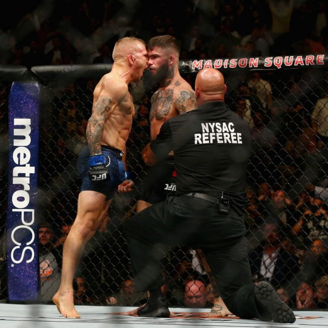 NEW YORK, NY - NOVEMBER 04: TJ Dillashaw and Cody Garbrandt face off during their UFC bantamweight championship bout during the UFC 217 event at Madison Square Garden on November 4, 2017 in New York City. Mike Stobe,Image: 354638818, License: Rights-managed, Restrictions:, Model Release: no, Credit line: Mike Stobe/Getty images/Profimedia