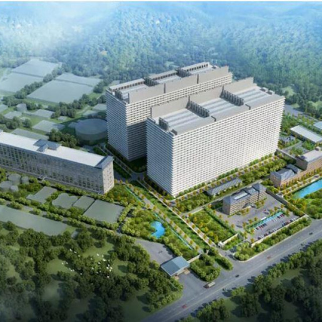 Neboderi za svinje u Kini