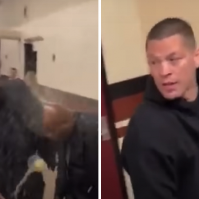 Zaštitari i Nate Diaz