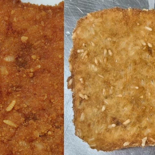 Slika studenta i slika inspekcije