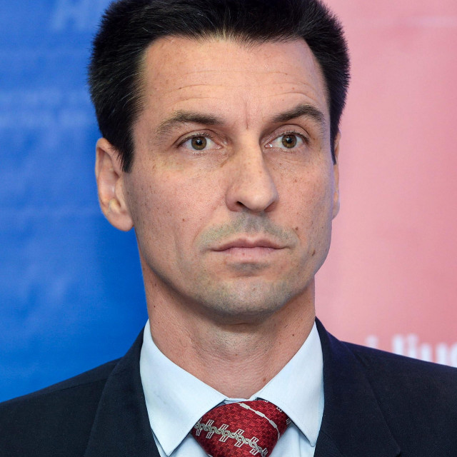 Zastupnik u Europskom parlamentu Ladislav Ilčić 