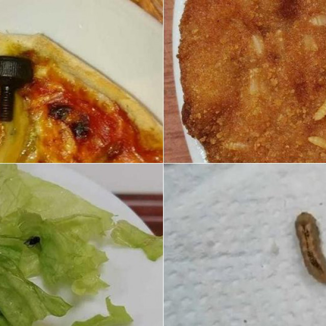Primjeri ”uljeza” na tanjurima u menzi