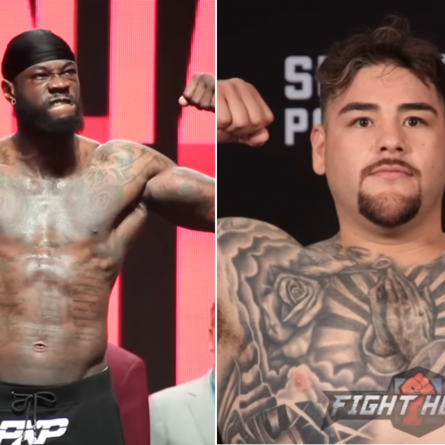 Wilder i Ruiz