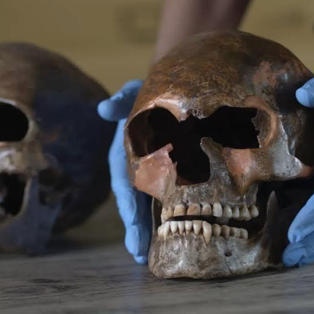 Iz filma Dame i prinčevi pretpovijesti