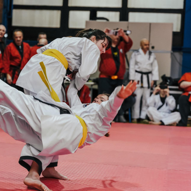 Seminar borilačkih vještina policajaca u Zagrebu