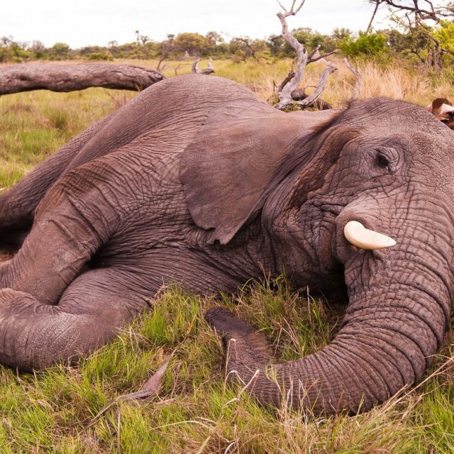 Ilustrativna fotografija