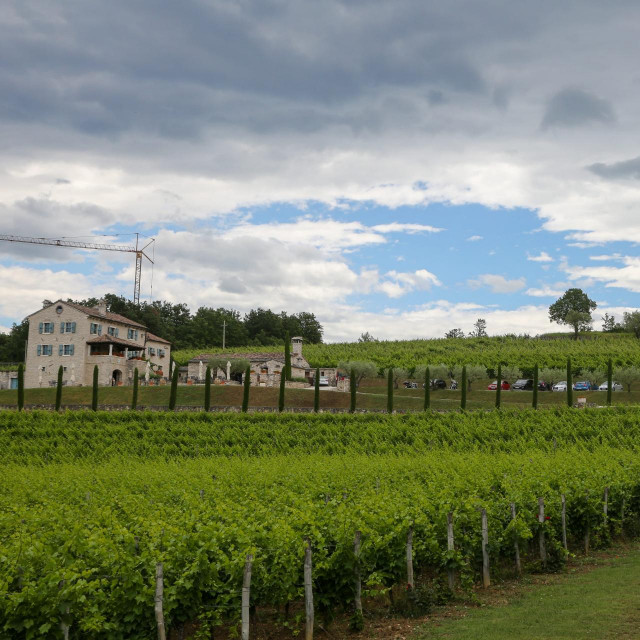 Vinogradi i vinarija Kabola
