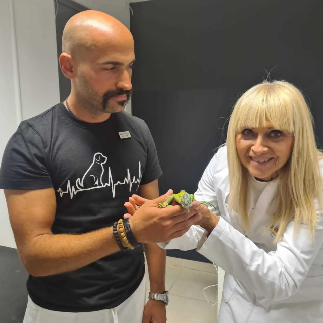 Veterinari Borna Fleck i Silva Rakočević s iguanom
 
