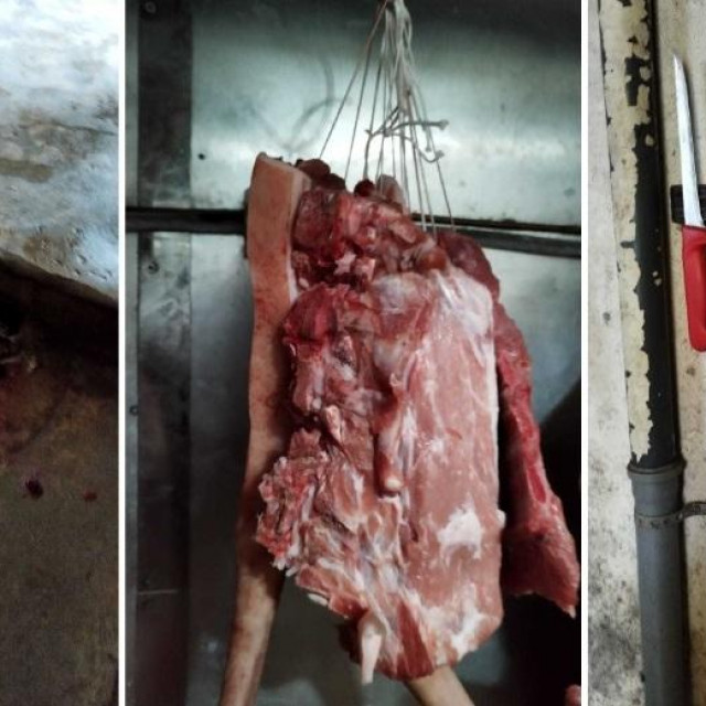 Ilegalna klaonica u Dalmaciji