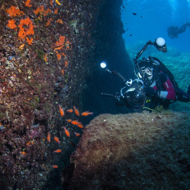 Jato riba matulicica uz stup srušenog svjetionika



 