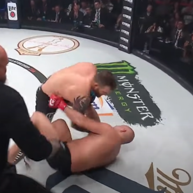 Ryan Bader vs. Fedor Emelianenko