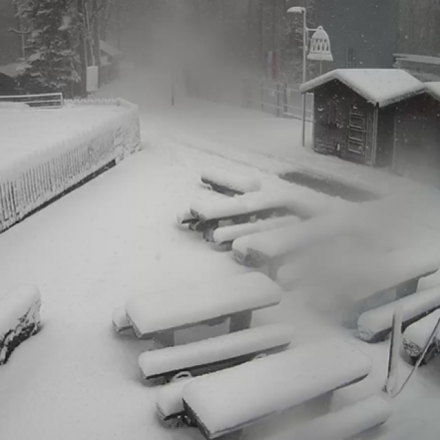 Snijeg na Medvednici